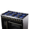 Capriasca 48 Inch Freestanding French Door Dual Fuel Range in with Antique Brass Accessories, 8 Burners, True Convection Oven
