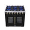 Capriasca 36-Inch Freestanding French Door Gas Range, 6 Burners, Convection Oven, Energy Efficient