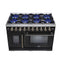 Capriasca 48-Inch Freestanding French Door Gas Range, 8 Burners, Convection Oven, Energy Efficient
