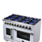 Capriasca 48-Inch Freestanding French Door Gas Range, 8 Burners, Convection Oven, Energy Efficient