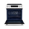 Donatello Espresso 30-Inch Slide-In Induction Range, Convection Oven, 5 Cooking Zones, Touch Control Panel