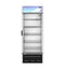Freezer, Single Section Glass Door Merchandiser – Silver Exterior