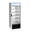 Freezer, Single Section Glass Door Merchandiser – Silver Exterior