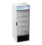 Freezer, Single Section Glass Door Merchandiser – Silver Exterior
