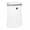 Plasmacluster Ion Air Purifier with True HEPA for Medium Rooms