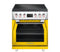 30″ Professional Induction Range