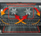 48″ Professional Induction Range