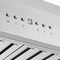 Coppito 60-Inch Island Range Hood, , LED Lighting, Adjustable Fan Speeds