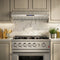 Palazzo 60-Inch Wall Mounted Range Hood, , Heavy Duty Baffle Filters, Remote Control