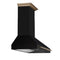 Aria 48 Inch Wall-Mounted Range Hood in
