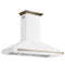 Aria 60 Inch Wall-Mounted Range Hood in
