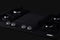 30" Wide 4-Burner Gas Cooktop