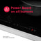 30" Induction Cooktop