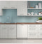 Dishwasher with Front Controls