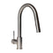 Gemini Pull Down Single Handle Kitchen Faucet In Brushed Nickel