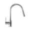 Gemini Pull Down Single Handle Kitchen Faucet In Chrome