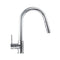 Gemini Pull Down Single Handle Kitchen Faucet In Chrome
