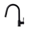 Autograph Edition Gemini Pull Down Single Handle Kitchen Faucet In Matte Black