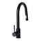 Autograph Edition Gemini Pull Down Single Handle Kitchen Faucet In Matte Black