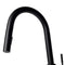 Autograph Edition Gemini Pull Down Single Handle Kitchen Faucet In Matte Black