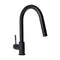 Autograph Edition Gemini Pull Down Single Handle Kitchen Faucet In Matte Black