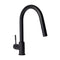 Autograph Edition Gemini Pull Down Single Handle Kitchen Faucet In Matte Black