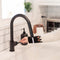 Autograph Edition Gemini Pull Down Single Handle Kitchen Faucet In Matte Black
