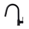 Autograph Edition Gemini Pull Down Single Handle Kitchen Faucet In Matte Black
