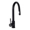 Autograph Edition Gemini Pull Down Single Handle Kitchen Faucet In Matte Black