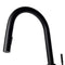 Autograph Edition Gemini Pull Down Single Handle Kitchen Faucet In Matte Black