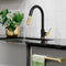 Autograph Edition Gemini Pull Down Single Handle Kitchen Faucet In Matte Black And Champagne Bronze