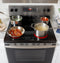 30" Free-Standing Electric Range