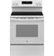 Ge® Energy Star® 30" Free-standing Electric Range