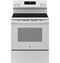Ge® Energy Star® 30" Free-standing Electric Range