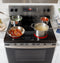 Ge® Energy Star® 30" Free-standing Electric Range