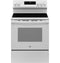 Ge® Energy Star® 30" Free-standing Electric Range With Crisp Mode