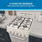20" Gas Range Oven