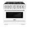 36 in. 5.2 cu. ft. Select Dual Fuel Range with 6 Burner Gas Cooktop and Electric Convection Oven