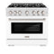 36 in. 5.2 cu. ft. Select Dual Fuel Range with 6 Burner Gas Cooktop and Electric Convection Oven
