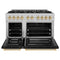 Autograph Edition 48 in. 6.7 cu. ft. Select Double Oven Dual Fuel Range with 8 Burner Gas Cooktop