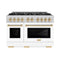 Autograph Edition 48 in. 6.7 cu. ft. Select Double Oven Dual Fuel Range with 8 Burner Gas Cooktop