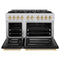 Autograph Edition 48 in. 6.7 cu. ft. Select Double Oven Dual Fuel Range with 8 Burner Gas Cooktop