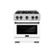 Autograph Edition 30 in. 4.2 cu. ft. Select Dual Fuel Range with 4 Burner Gas Cooktop and Electric Convection Oven