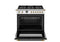 36 inch Dual Fuel Range, 6 Brass Burner and Cast Iron Griddle, Electric Self-Clean Oven - Gold Accents