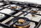 36 inch Dual Fuel Range, 6 Brass Burner and Cast Iron Griddle, Electric Self-Clean Oven