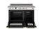48 inch Induction Range, 6 Heating Zones and Cast Iron Griddle, Electric Self-Clean Oven - Gold Accents
