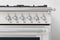 36 inch Dual Fuel Range, 6 Brass Burner, Electric Self-Clean Oven