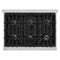 36 in. 5.2 cu. ft. Select Gas Range with 6 Burner Cooktop and Convection Gas Oven