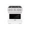 30 in. 4.2 cu. ft. Select Gas Range with 4 Burner Cooktop and Convection Gas Oven