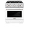 30 in. 4.2 cu. ft. Select Gas Range with 4 Burner Cooktop and Convection Gas Oven